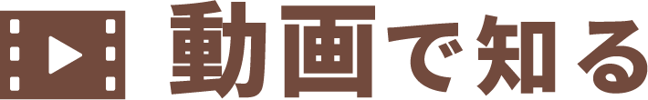 動画で知る